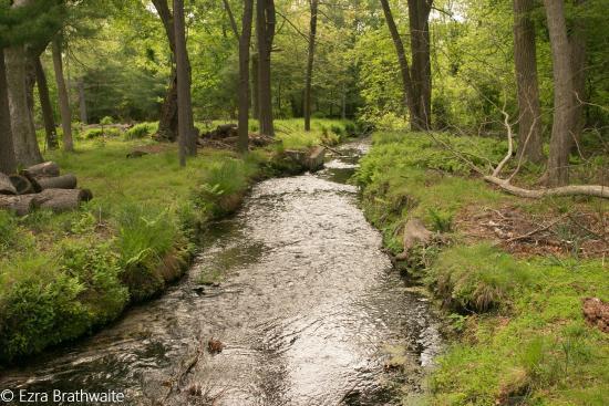Connetquot River State Park Preserve